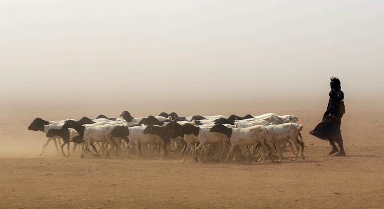 WMO: Greater Horn of Africa drought forecast to continue for fifth year 